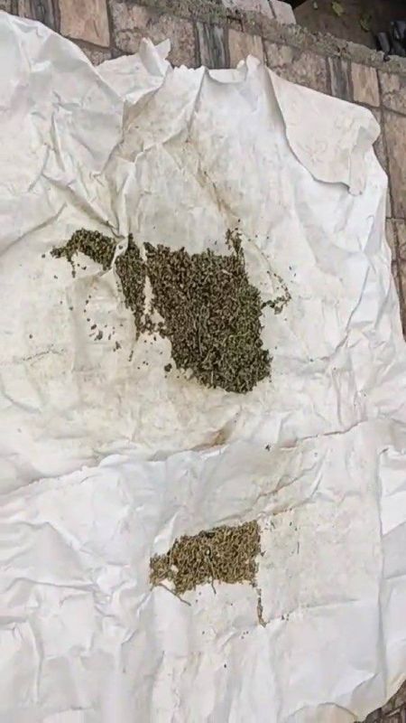 10 ��� ������ ������ ������� �� ��������� �� ������������ � �������� ���������