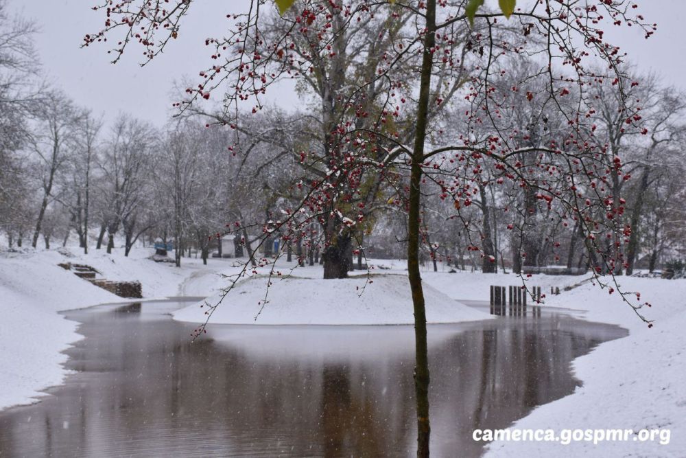 � ��� ���� � ����� ���� ���� �����