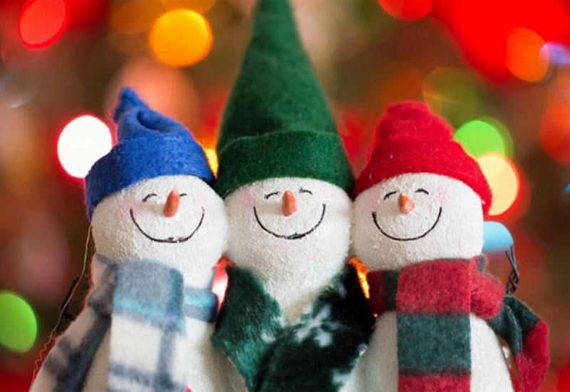 ������������� ������� �����������-����������� ���������� "���������� ���� - 2024"