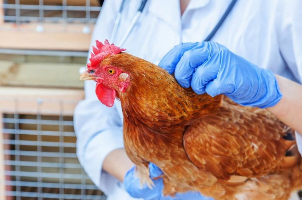 ����� ������� �������� ������ � ��