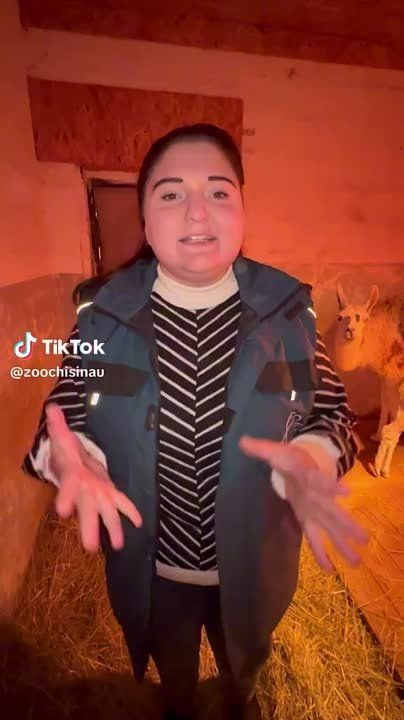 � ����������� �������� �������