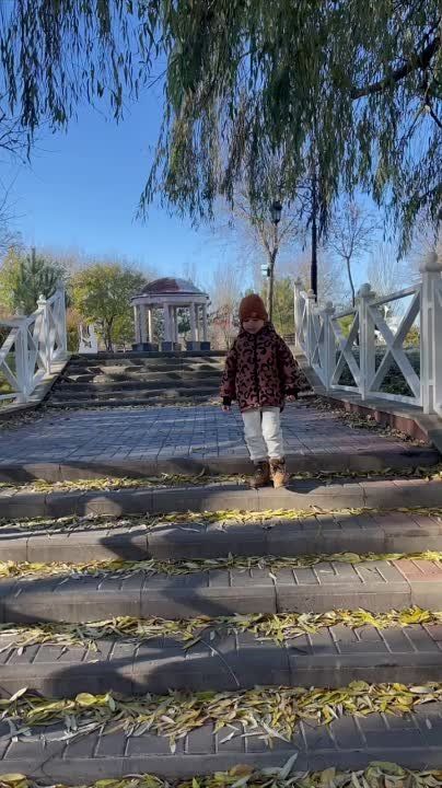 ����������� ����� ��������� �� ������ ����