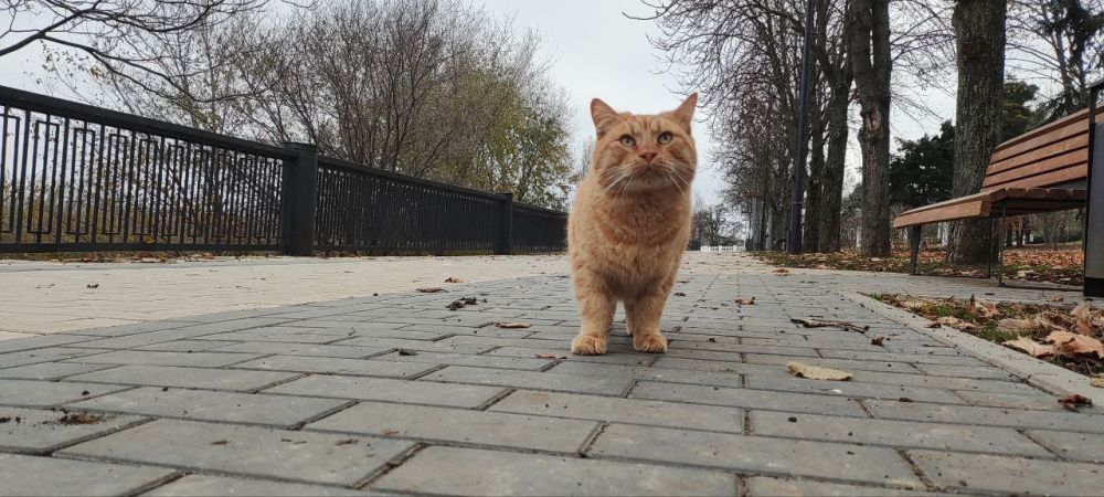 ��� �������� ��������� ����� �� ����� �� � ��, 27 ������ ��������� �������� ������ � ������������, ��� ������������ �������