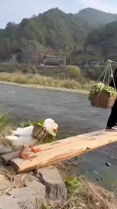 ���� ������� �������. � ����� ���� �������� � ������������� ��������