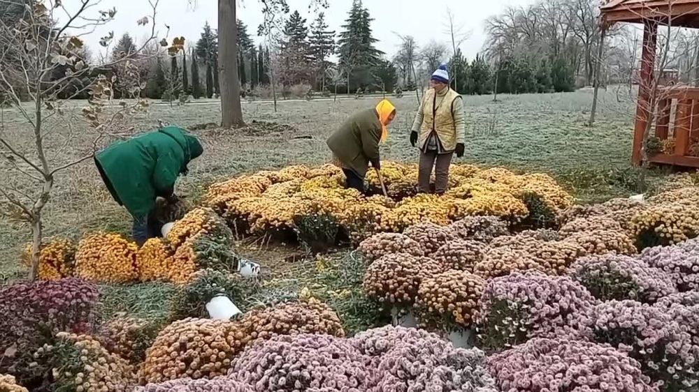 � ����������� ��������� ���������� ����������, ������� ������ � ���� � ������