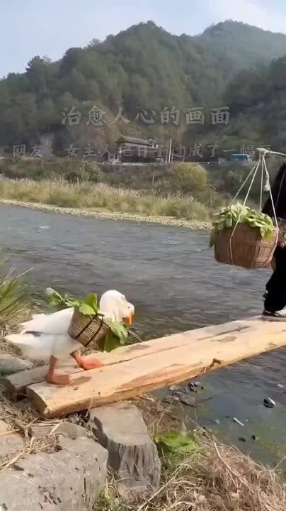 ����-�������� ����������� � �������� � �� �������� �������� ������ ������ � ��������� ��������