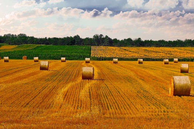 ������ ������ ������ �� ������ 2024 ���� �������� 650 ������