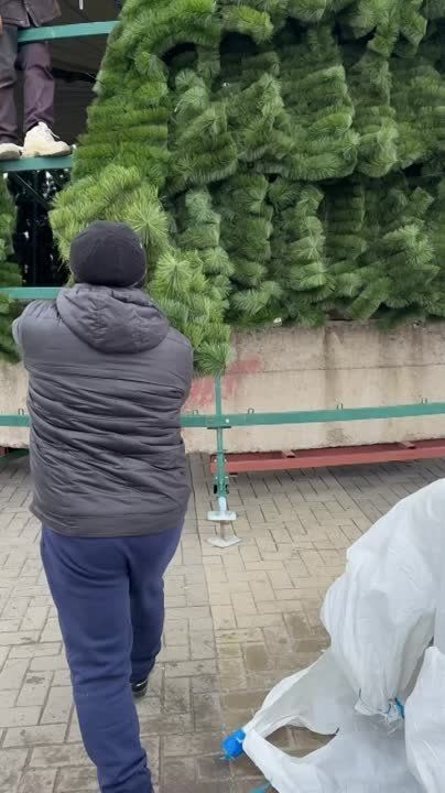 ������� ���� ��������� ��� ��������