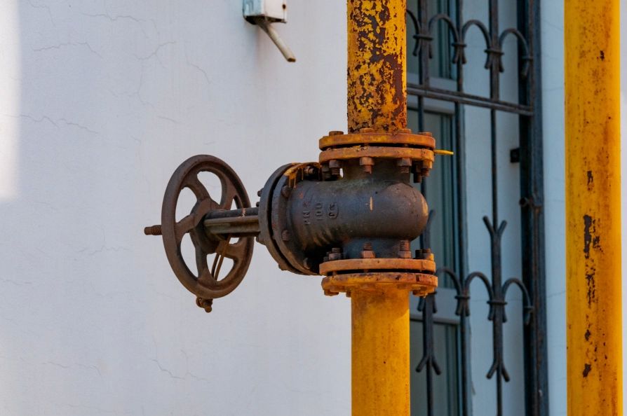 "��������� ������������ ����������": � �������� �� ������� ����������� ����������� �������� �������� ����