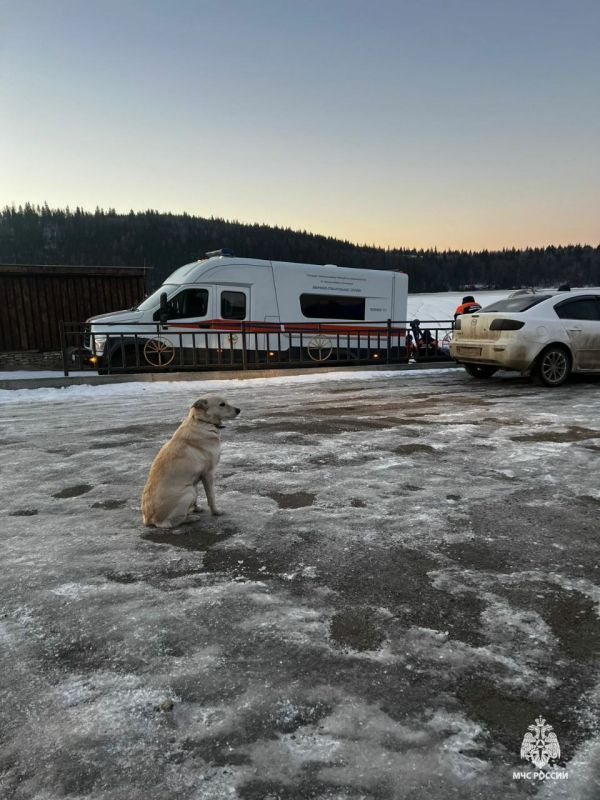 ������ ��������� ���� �������� �� �����, ��� ������ � ������