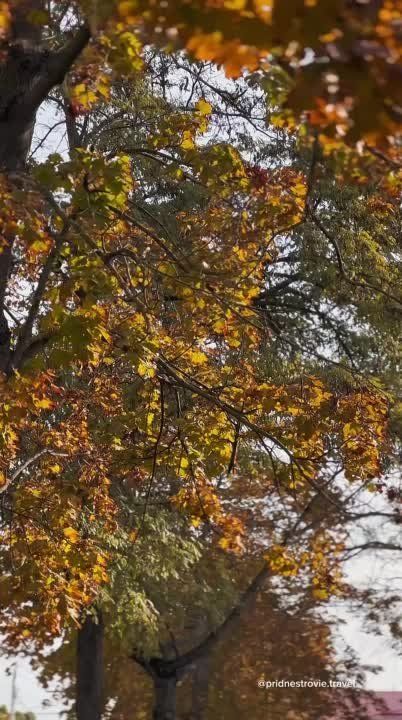 ��������� ��� �����. ����� �� �������� �� �������