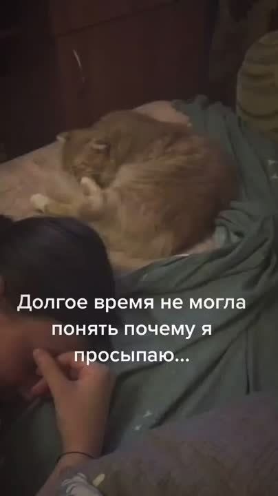 ������� ��������� ��������� ���������� ����� ������� � ����� ��������� ������ ���������, ���� ����� ����������