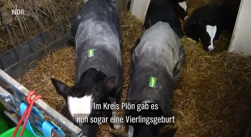 � �������� �� ����� ������ �� ����� ����������� ������ �������� � ������ �������, ������� ���������� ���� ��� �� 11 ��������� �������