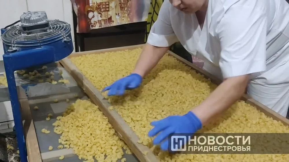 ���������� ������� ����������� �� ���������������� �������� � 2024� ��������� ����������� �����