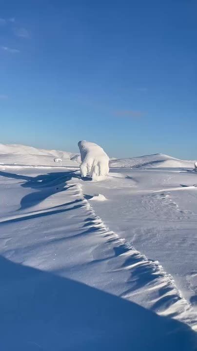 ��������� ������� ������ ������������ �� ������� ����� �������������