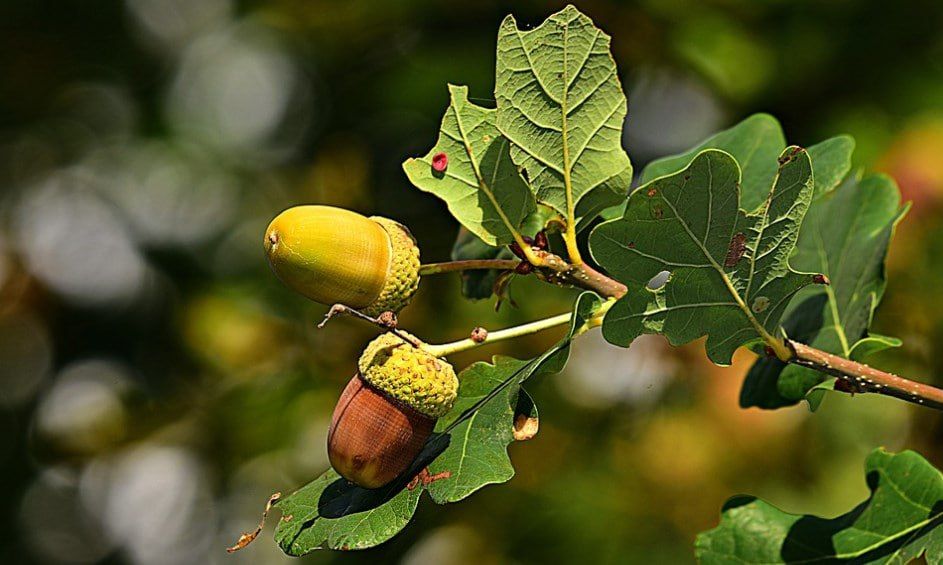 ������� ����� � ������������� ������ ��������� ������ � �������������� ������� � ��������� ����������� �������� ��� �������������