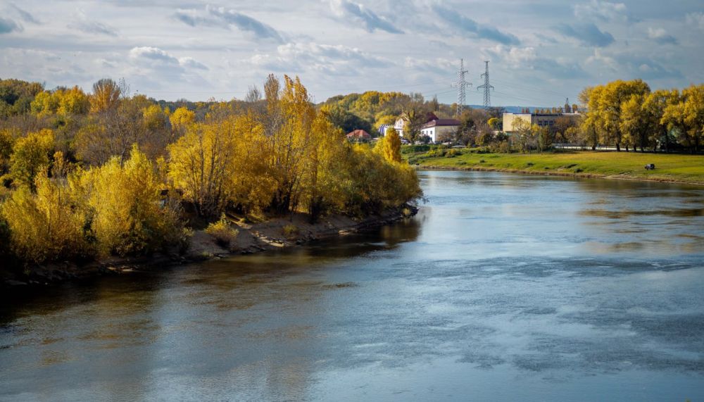 ���������� ������� ���������� ����� ������������� � ������� �� �������� ��������