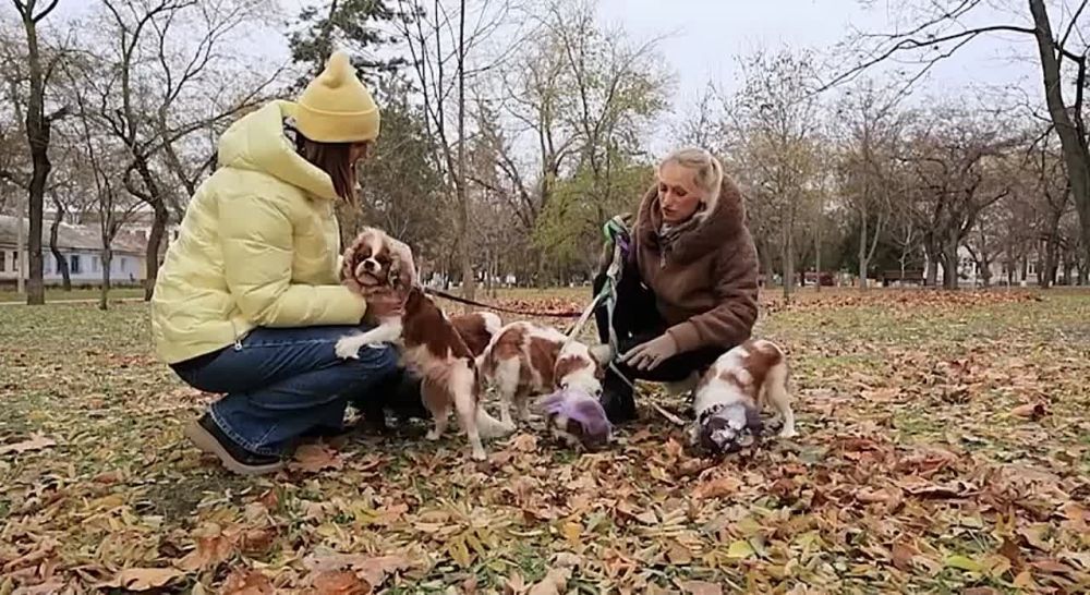 �� ����! ��-������ � ������� ���������� �� ������� � ����������