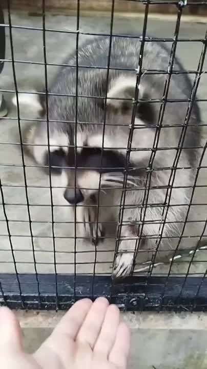 ��������� ��������� � ��������� �������������� ����� 5 �������