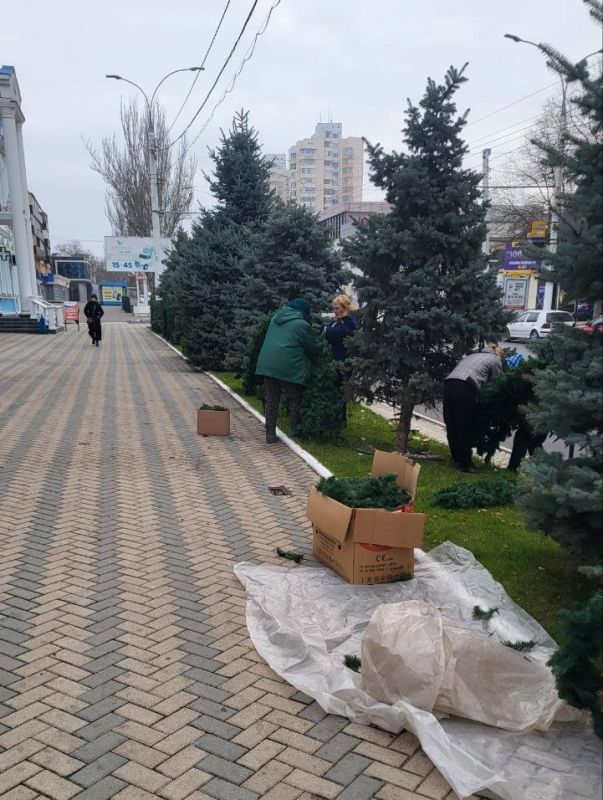 �� ���� �������� 3 ���