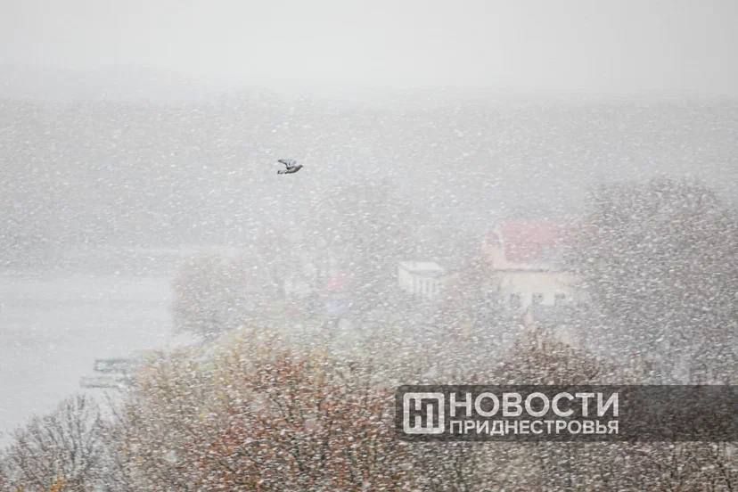 ��������� ������ ������ �������� �������������� ������ ������, ��������� ������� ���������� ��� ������� ���������