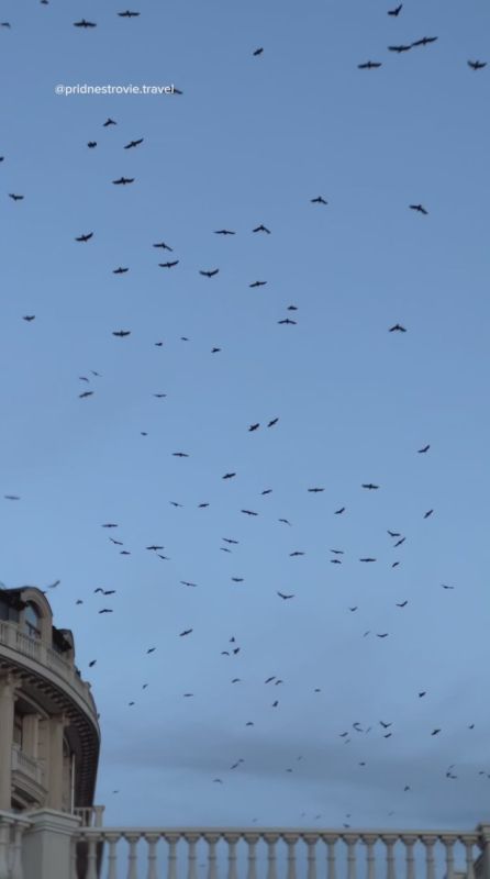 ����� 3 ��� �������� ����, ������� ��������, ��� ���� ��������� ����� � ����� ������