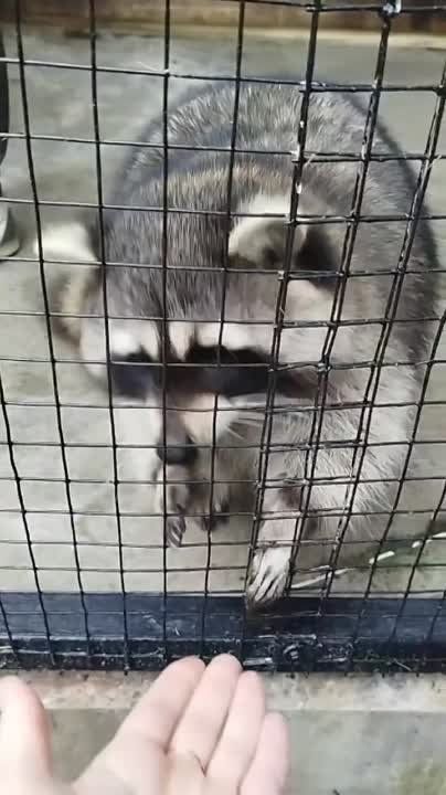 ��������� � �������������� ����� ������� 5 �������