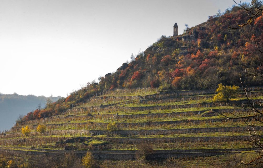 ����� ������������ � ������������� �������������� ������� ���������� �� ����������� ������