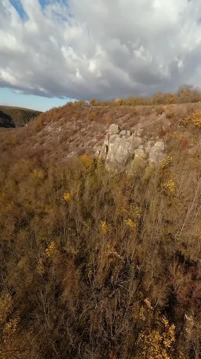 ����-������ (��������� �����)