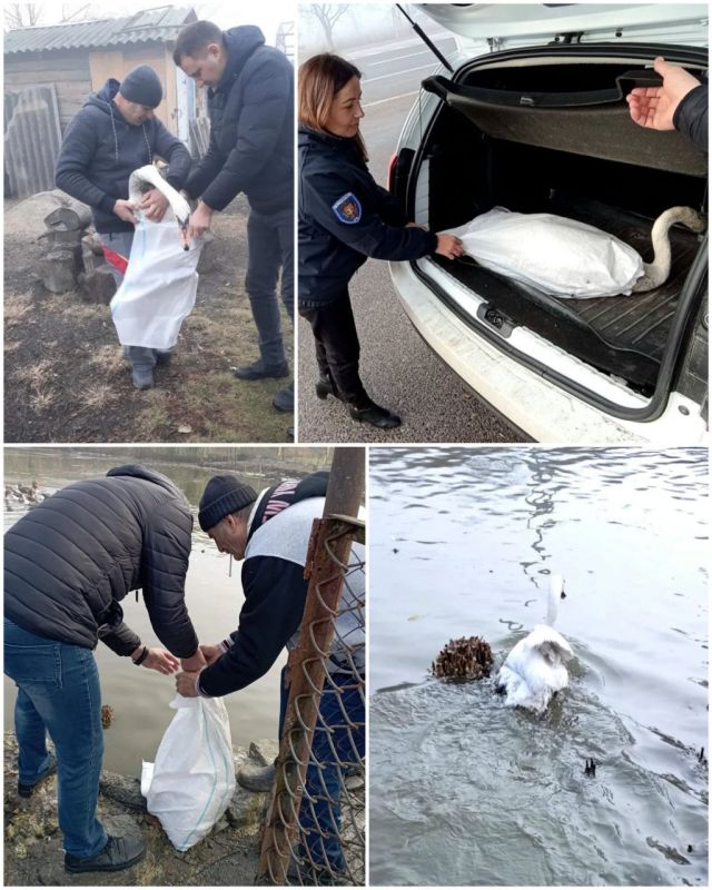 � ������� ������� ������� ������� ������ ������