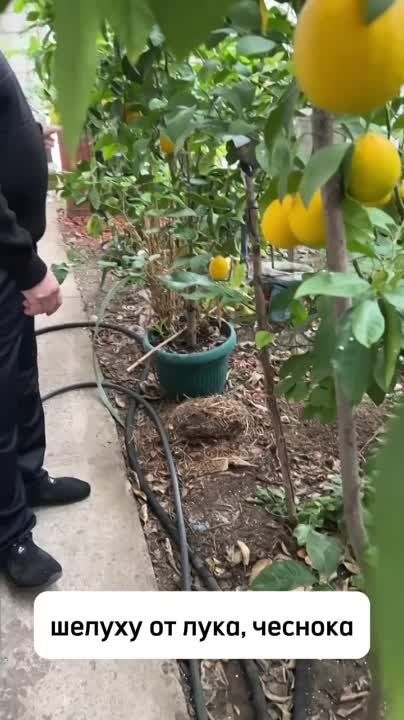 ��� ������� � � ������� �� �����