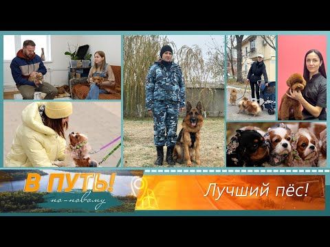 �� ����! ��-������ � � ��������� � ��������� �����