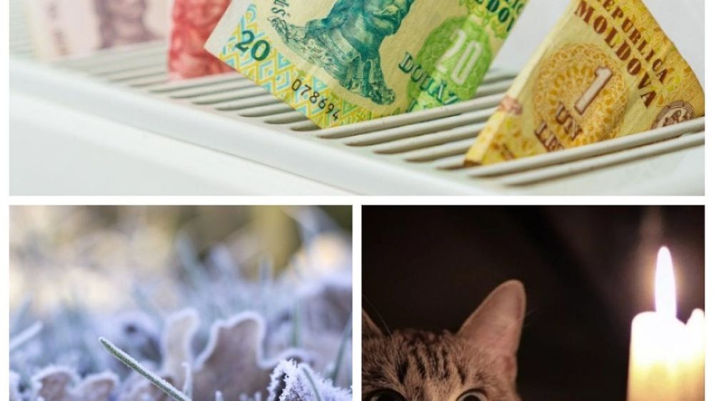 ���-5 �������� � ������� 30 ������ 2024: ������� ����� ����������� � ������� �� ������� - ��� �����; � ������� ����� �������� - ����� � ����, � �����; ��� ����, ����� � ����� � ������� ����� �������� ��� ������ �������