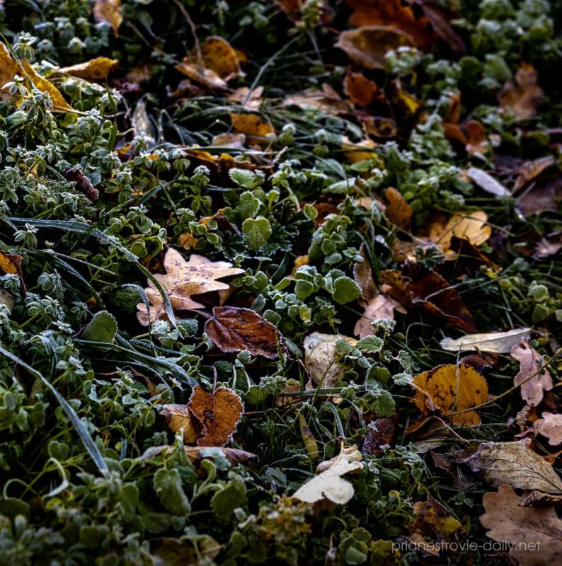 ����� ������ ������ � ������������� ������ ������ � ������������ � ���������� �������������