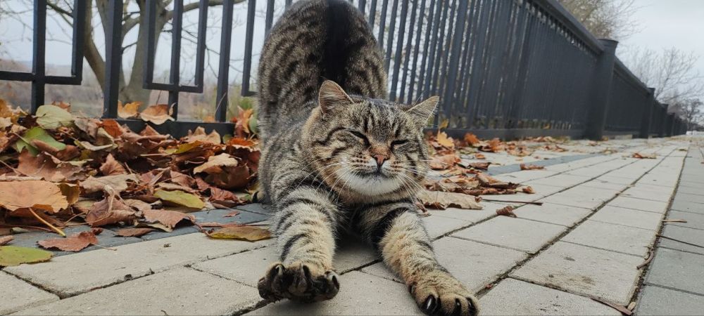 ������ ���������!. �������� � ��������� � ����� �������� �������� ����. ��������� ���� ����� �� ���������