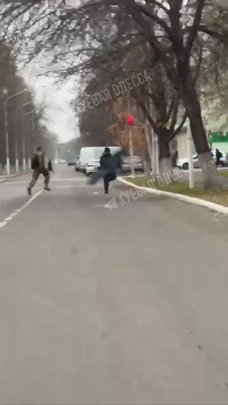 ������. ������ �������� ���� �� ������� ��������� �����������