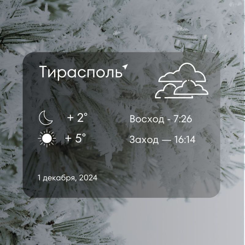 ������ �� �������