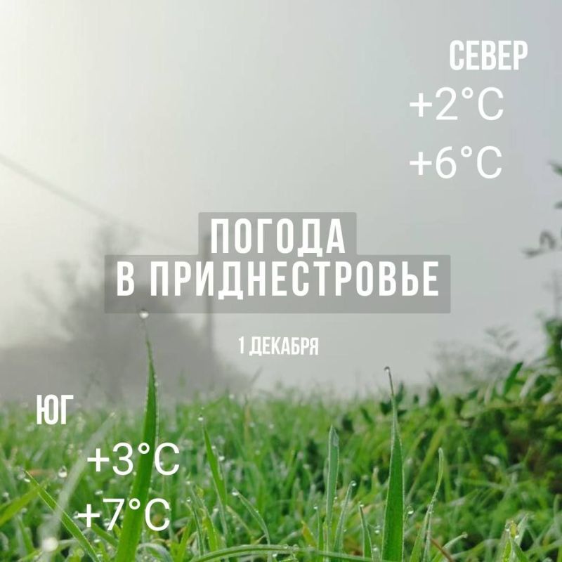 ����� ������� �����. ���� � �� +7��. ��� ������������ �������