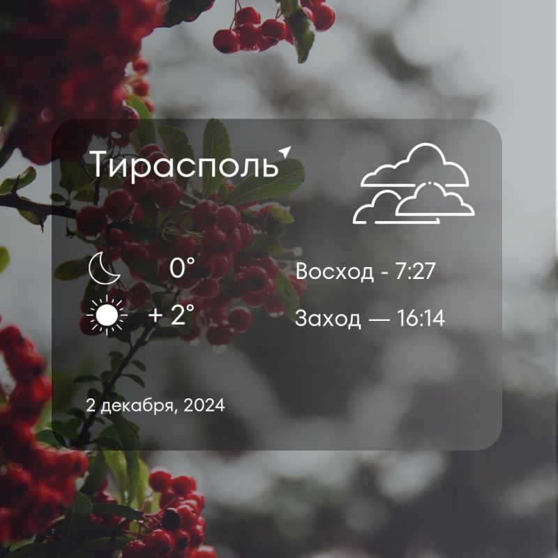 ������ �� �������