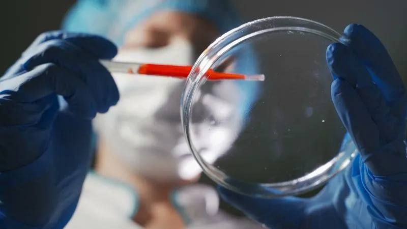 ������� ����. ��������������� ��������� �� ������������ � ������� ���-�������� � ����������� �������� ��������� ��������������� ����������� �������� 2 ������� � 8:30 �� 15:00 �� ����� �������� ������� ���������� �...