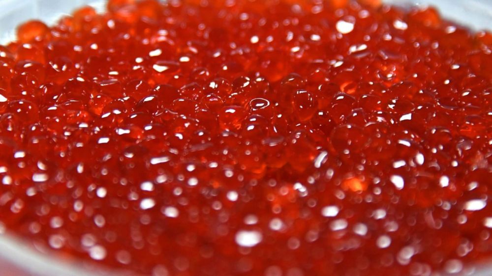 9 ����������� ������� ���� ����� ���������� ����������� ��� ��������� ��������� ���������� � ���������� ������