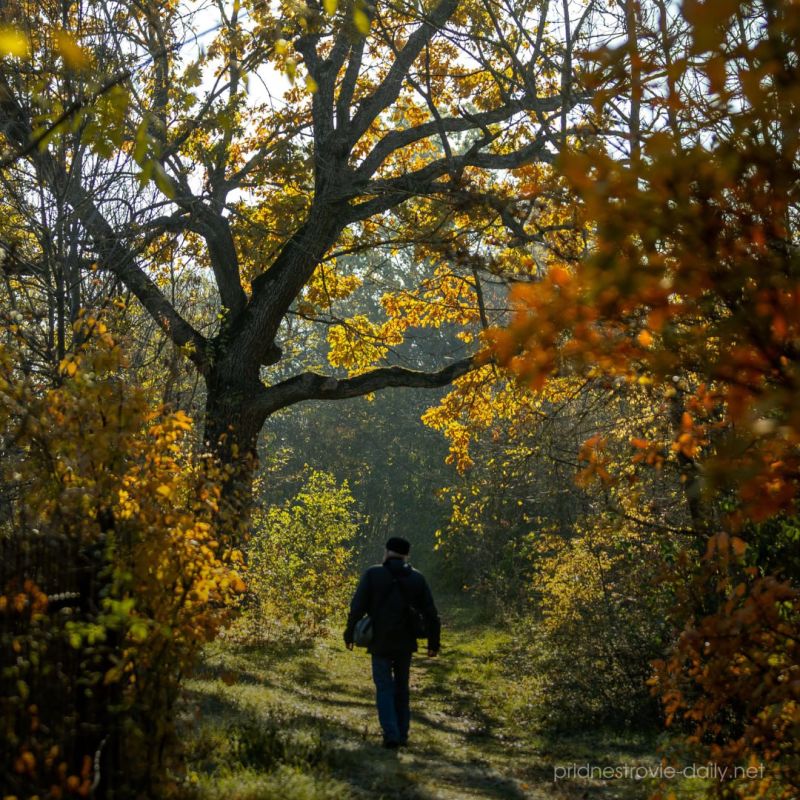 � 2024 ���� ��������� ��������� �������������� ������� ��������� 46 ��������� � 33 ���� �� ������������� ����� ���������� 1 ������� 254 ������ ������