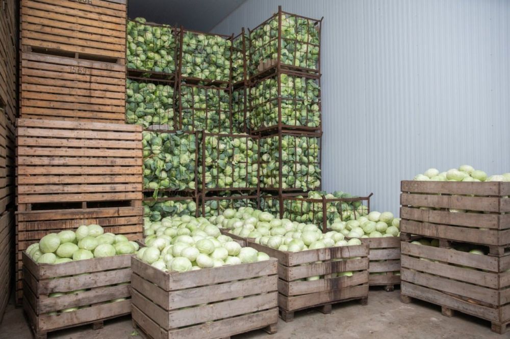 �������� ��������� � ������ ������������� ���������