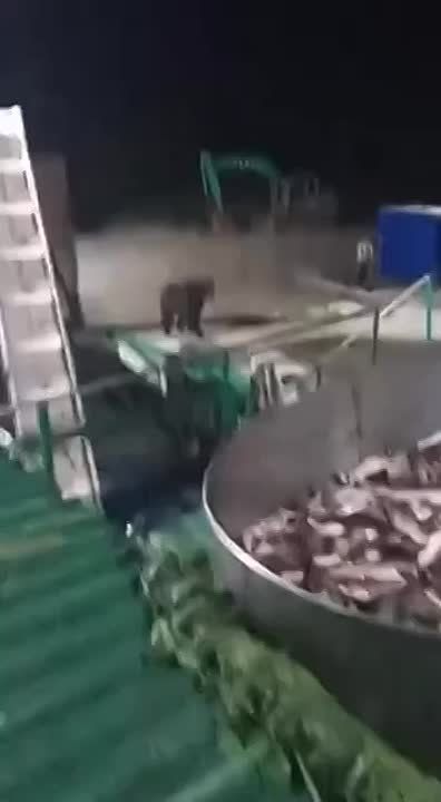 �� �������� ������� ������� � ���� � ����� � ���� ����� ����