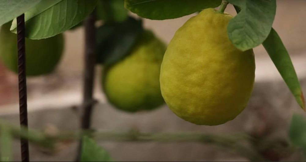 ������������� ����� �������� ������ � ����� ��������� � �����