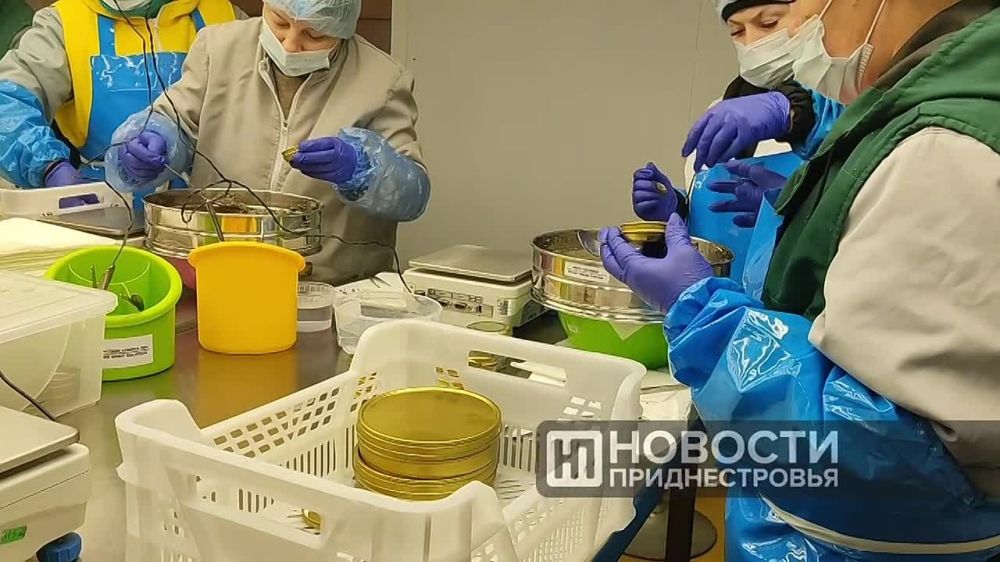 ���� ������, ������� � �������� ������, ��������� � ��������� ������� ����, �������� � ������ � ����� - ��� ��� ����������� �������� �������� �� ���������������� ��������