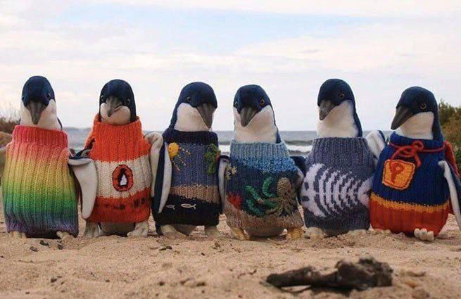 ����� ������ ������ ��������� 109-������ ������� ���� ��� ���� ��������� ����� �������� �� ������ �������� ��� ���������