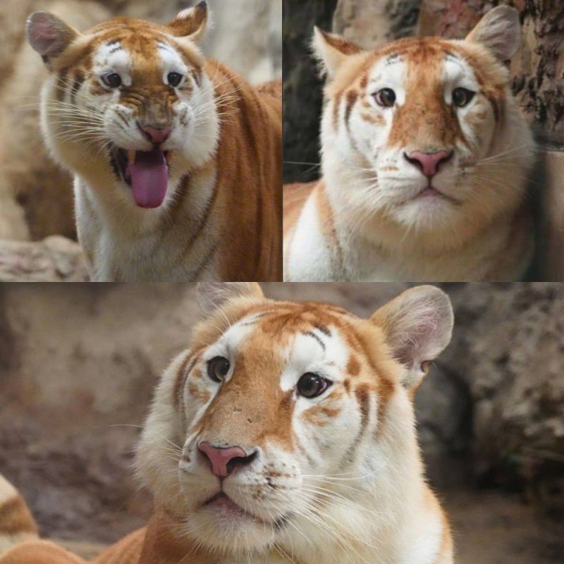 � ����� ��������� ����� �������� ������ � ������� ������� ���