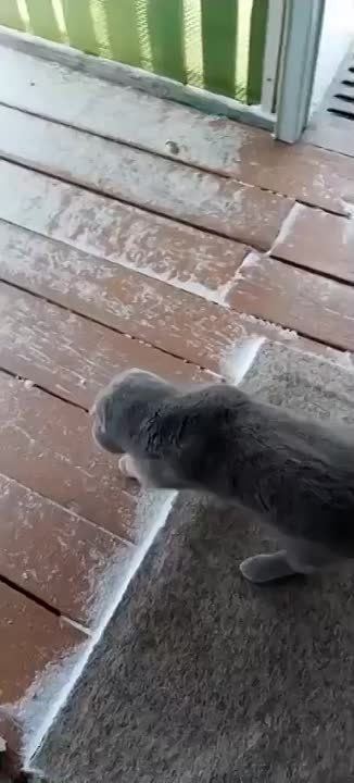 ���� ����� �� ���������� �� ������