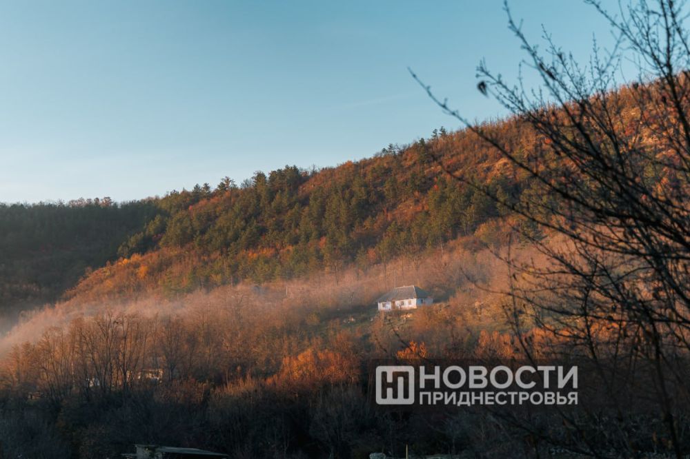 � ���� ���� ������ ������ �������������� ���������: